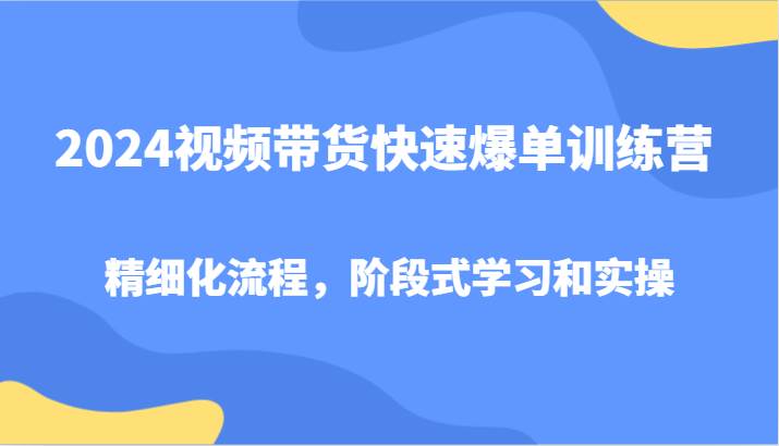 2024视频带货快速爆单训练营，精细化流程，阶段式学习和实操插图