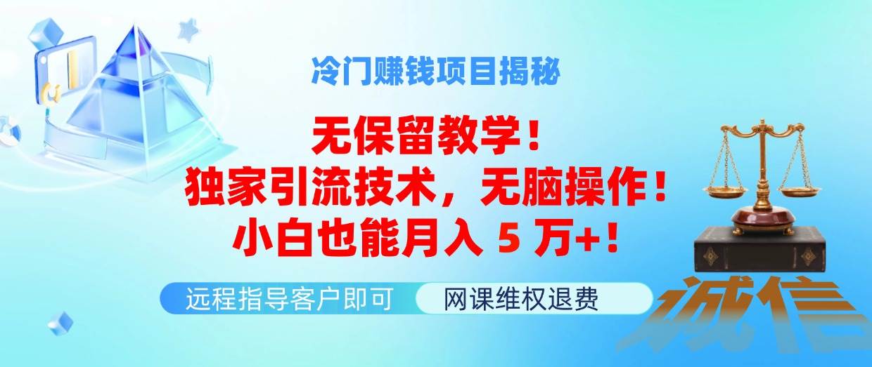 （11864期）冷门赚钱项目无保留教学！独家引流技术，无脑操作！小白也能月入5万+！插图