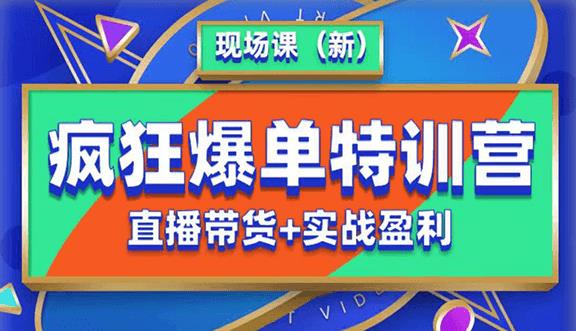 抖音短视频疯狂爆单特训营现场课（新）直播带货+实战案例插图