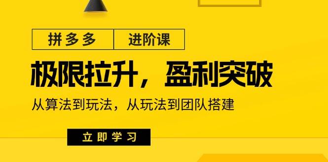 （11435期）拼多多·进阶课：极限拉升/盈利突破：从算法到玩法 从玩法到团队搭建-18节插图