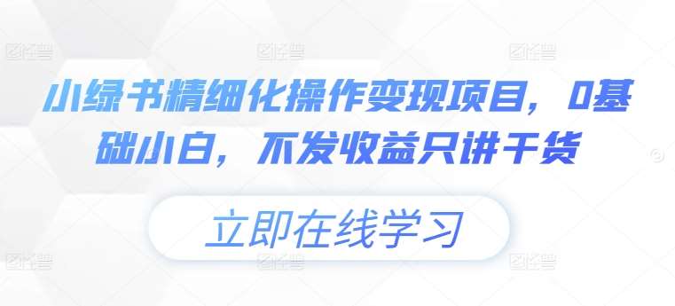 小绿书精细化操作变现项目，0基础小白，不发收益只讲干货插图