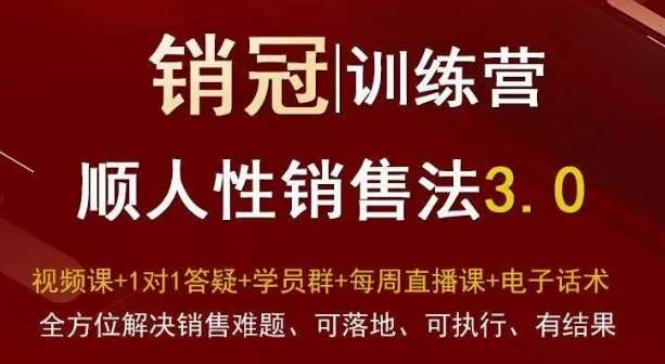 爆款！销冠训练营3.0之顺人性销售法，全方位解决销售难题、可落地、可执行、有结果插图