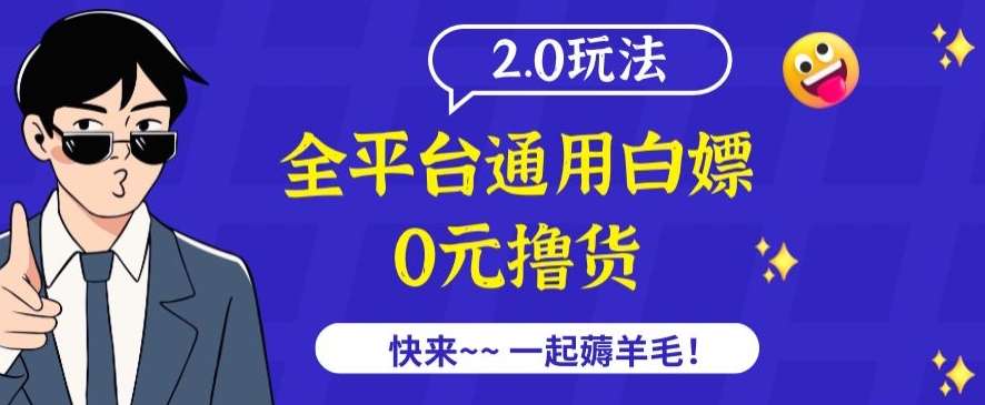 外面收费2980的全平台通用白嫖撸货项目2.0玩法【仅揭秘】插图