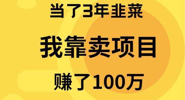 （9100期）当了3年韭菜，我靠卖项目赚了100万插图