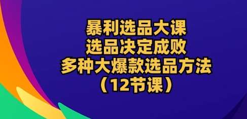 暴利选品大课：选品决定成败，教你多种大爆款选品方法(12节课)插图