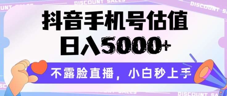 抖音手机号估值，日入5000+，不露脸直播，小白秒上手【揭秘】插图