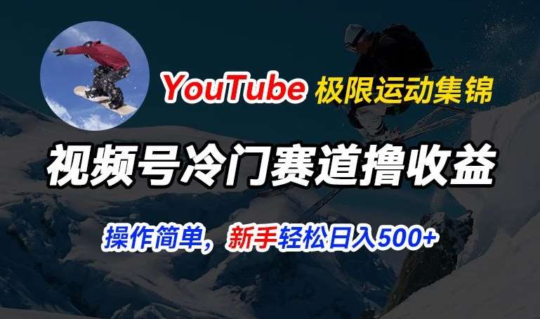 视频号冷门赛道撸收益，YouTube搬运极限运动集锦，暴力起号，操作简单流量高，轻松日入5张【揭秘】插图