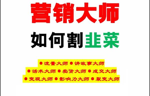 《营销大师如何割韭菜》禁止外传的大师绝学电子书插图