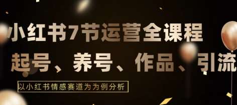 7节小红书运营实战全教程，结合最新情感赛道，打通小红书运营全流程【揭秘】插图