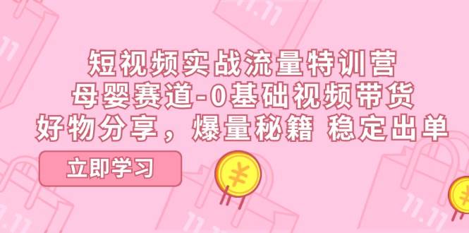 短视频实战流量特训营，母婴赛道-0基础带货，好物分享，爆量秘籍 稳定出单插图