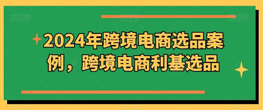 2024年跨境电商选品案例，跨境电商利基选品（更新）插图