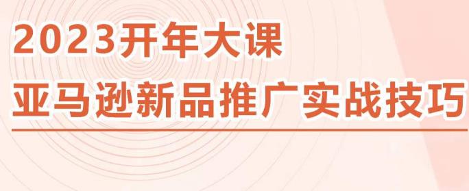 2023亚马逊新品推广实战技巧，线下百万美金课程的精简版，简单粗暴可复制，实操性强的推广手段插图