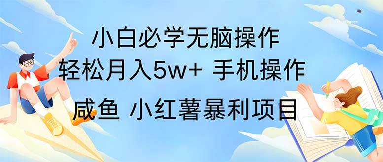 （11953期）2024热门暴利手机操作项目，简单无脑操作，每单利润最少500插图