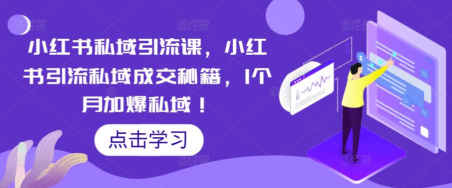 小红书私域引流课，小红书引流私域成交秘籍，1个月加爆私域！插图