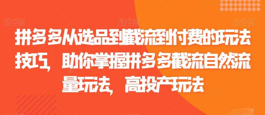 拼多多从选品到截流到付费的玩法技巧，助你掌握拼多多截流自然流量玩法，高投产玩法插图