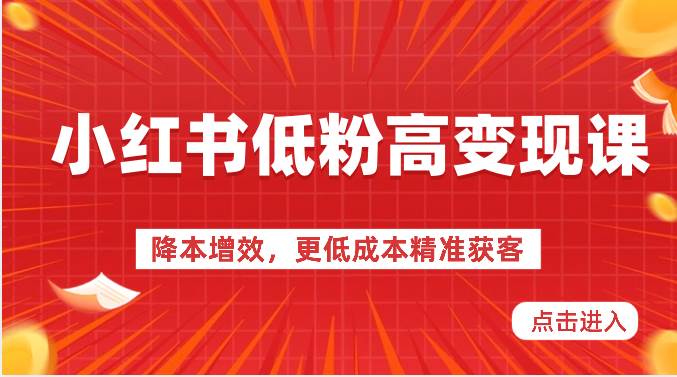 小红书低粉高变现课-降本增效，更低成本精准获客，小红书必爆的流量密码插图