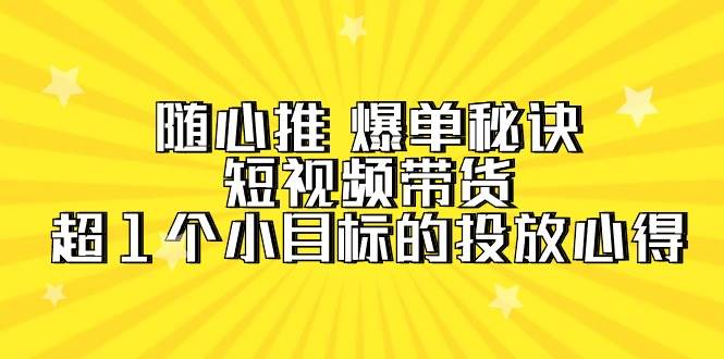 （9687期）随心推 爆单秘诀，短视频带货-超1个小目标的投放心得（7节视频课）插图