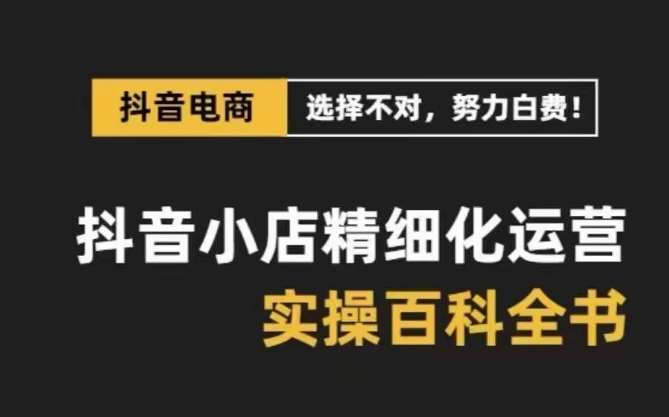 抖音小店精细化运营百科全书，保姆级运营实操讲解插图