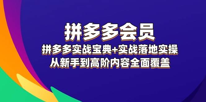 （12056期）拼多多 会员，拼多多实战宝典+实战落地实操，从新手到高阶内容全面覆盖插图