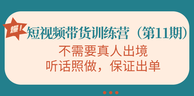 视频带货训练营，不需要真人出境，听话照做，保证出单插图