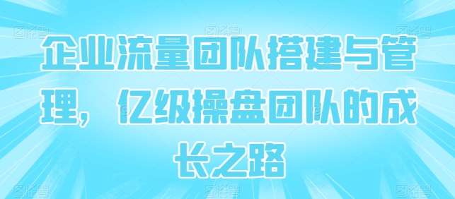 企业流量团队搭建与管理，亿级操盘团队的成长之路插图