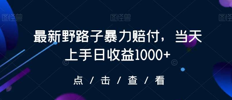 最新野路子暴力赔付，当天上手日收益1000+【仅揭秘】插图