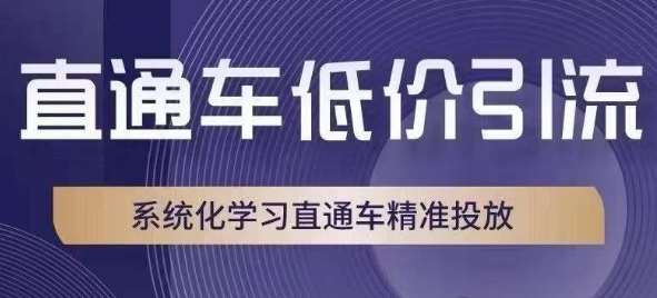 直通车低价引流课，系统化学习直通车精准投放插图