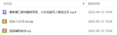 最新偏门游戏搬砖项目，互联网小白照抄稳定月入过万（教程+软件）插图4