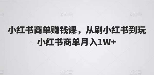 小红书商单赚钱课，从刷小红书到玩小红书商单月入1W+插图