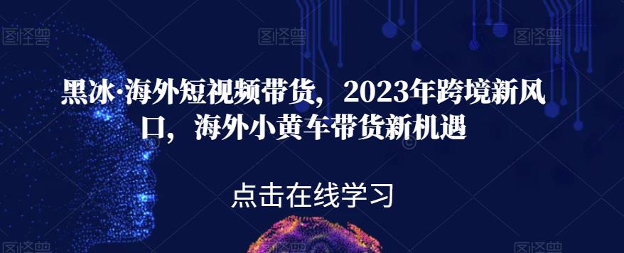 黑冰·海外短视频带货，2023年跨境新风口，海外小黄车带货新机遇插图