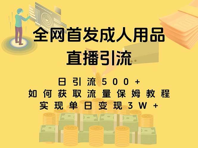 （8193期）最新全网独创首发，成人用品直播引流获客暴力玩法，单日变现3w保姆级教程插图