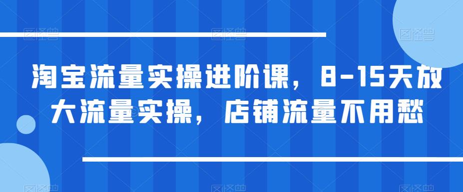 淘宝流量实操进阶课，8-15天放大流量实操，店铺流量不用愁插图