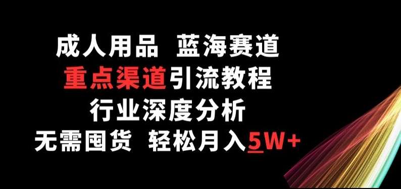 成人用品，蓝海赛道，重点渠道引流教程，行业深度分析，无需囤货，轻松月入5W+【揭秘】插图