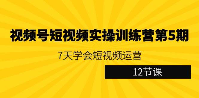 视频号短视频实操训练营第5期：7天学会短视频运营（12节课）插图