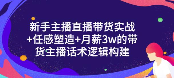 新手主播直播带货实战+信任感塑造+月薪3w的带货主播话术逻辑构建插图