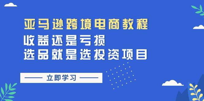 （11432期）亚马逊跨境电商教程：收益还是亏损！选品就是选投资项目插图