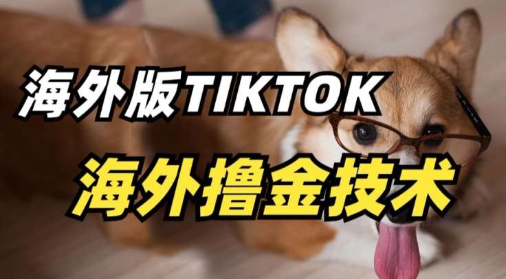 抖音海外版tiktok撸金技术，这个风口行业，赚钱真的不难【揭秘】插图