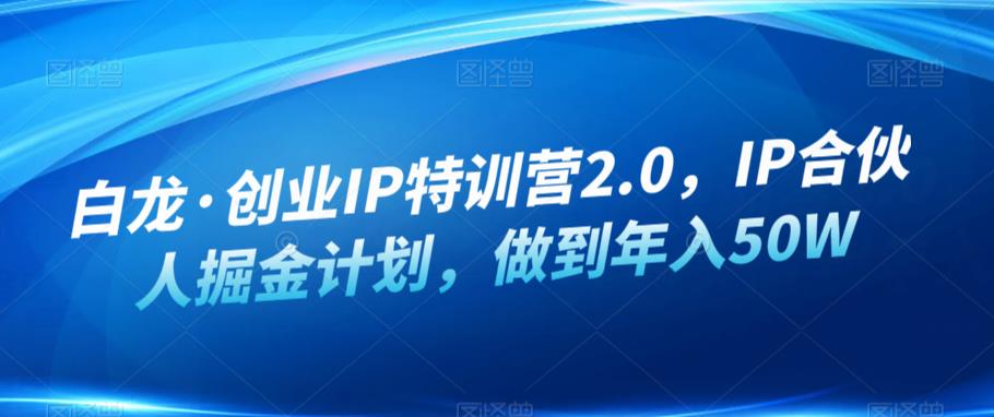 白龙·创业IP特训营2.0，IP合伙人掘金计划，做到年入50W插图