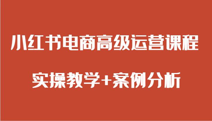 小红书电商高级运营课程 实操教学+案例分析插图