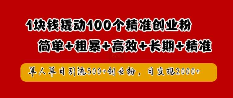 1块钱撬动100个精准创业粉，简单粗暴高效长期精准，单人单日引流500+创业粉，日变现2k【揭秘】插图