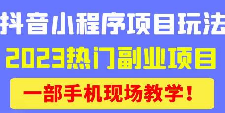 抖音小程序9.0新技巧，2023热门副业项目，动动手指轻松变现插图