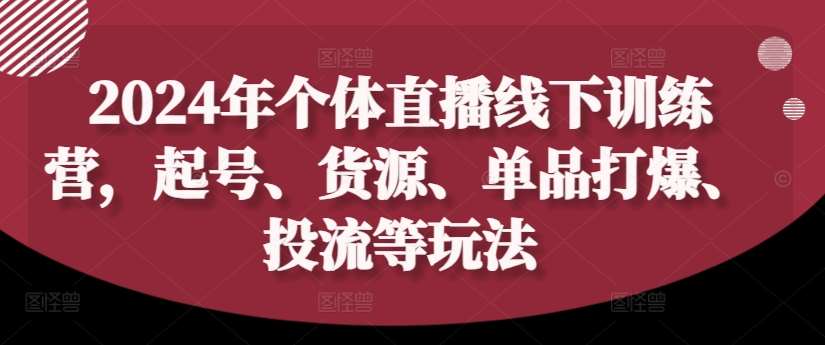 2024年个体直播训练营，起号、货源、单品打爆、投流等玩法插图