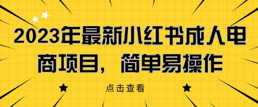 2023年最新小红书成人电商项目，简单易操作【详细教程】【揭秘】插图