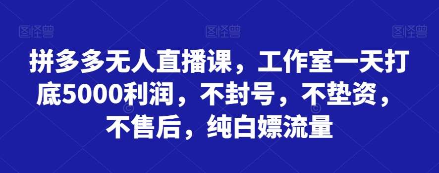 拼多多无人直播课，工作室一天打底5000利润，不封号，不垫资，不售后，纯白嫖流量插图