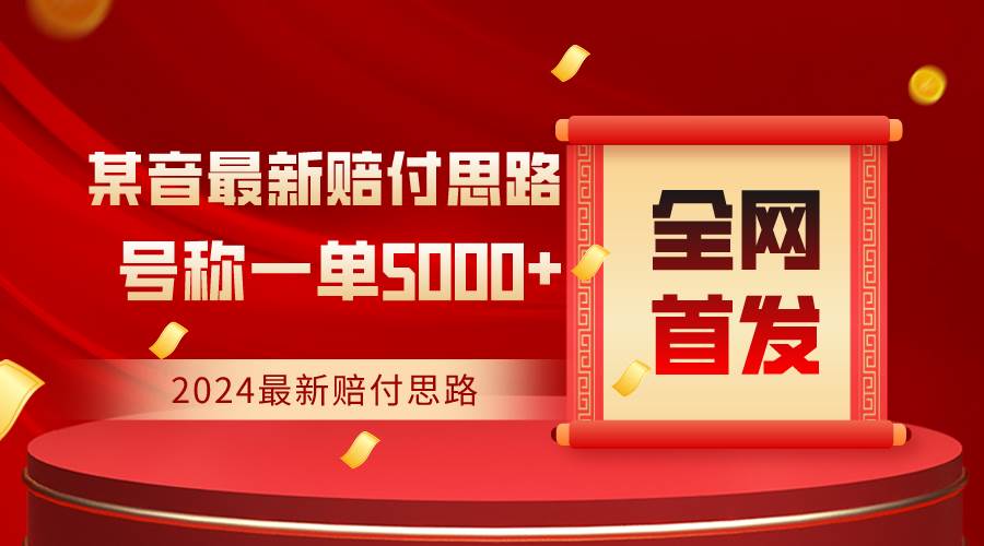 全网首发，2024最新某音赔付思路，号称一单收益5000+插图