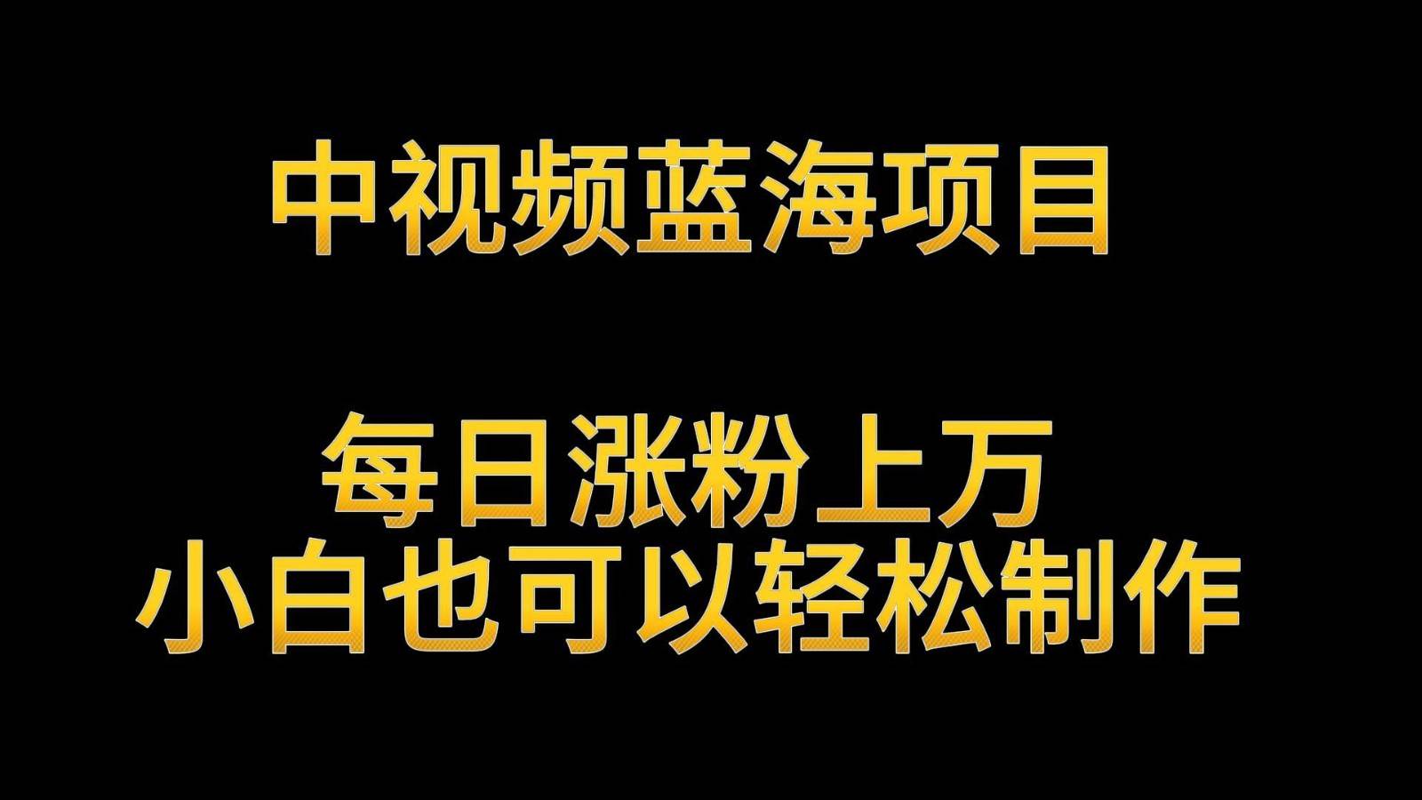 中视频蓝海项目，解读英雄人物生平，每日涨粉上万，小白也可以轻松制作，月入过万插图