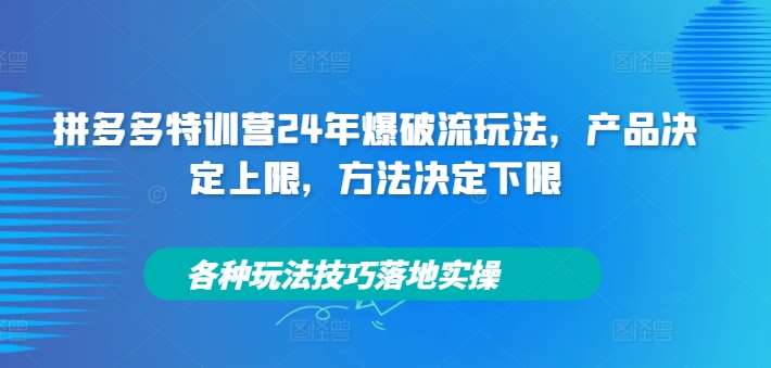 拼多多特训营24年爆破流玩法，产品决定上限，方法决定下限，各种玩法技巧落地实操插图