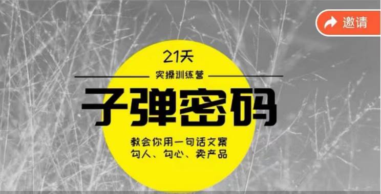 《子弹密码训练营》-用一句话文案勾人勾心卖产品，21天学到顶尖文案大师策略和技巧插图