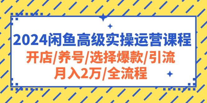 （10711期）2024闲鱼高级实操运营课程：开店/养号/选择爆款/引流/月入2万/全流程插图