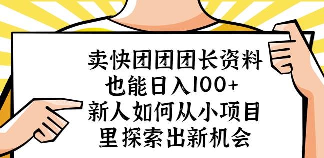 卖快团团团长资料也能日入100+新人如何从小项目里探索出新机会插图